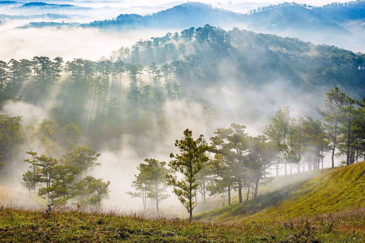 5 dia diem cam trai san may tai Da Lat-Hinh-4