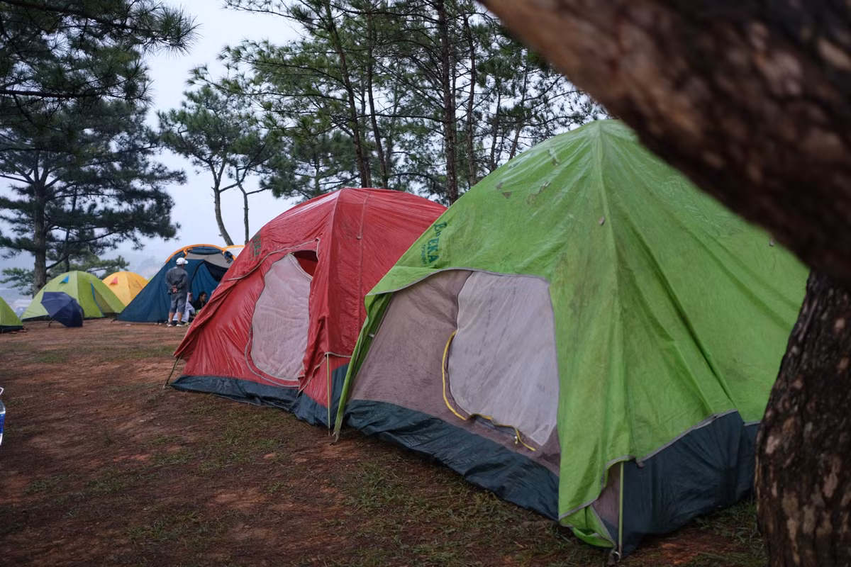 5 dia diem cam trai san may tai Da Lat-Hinh-5