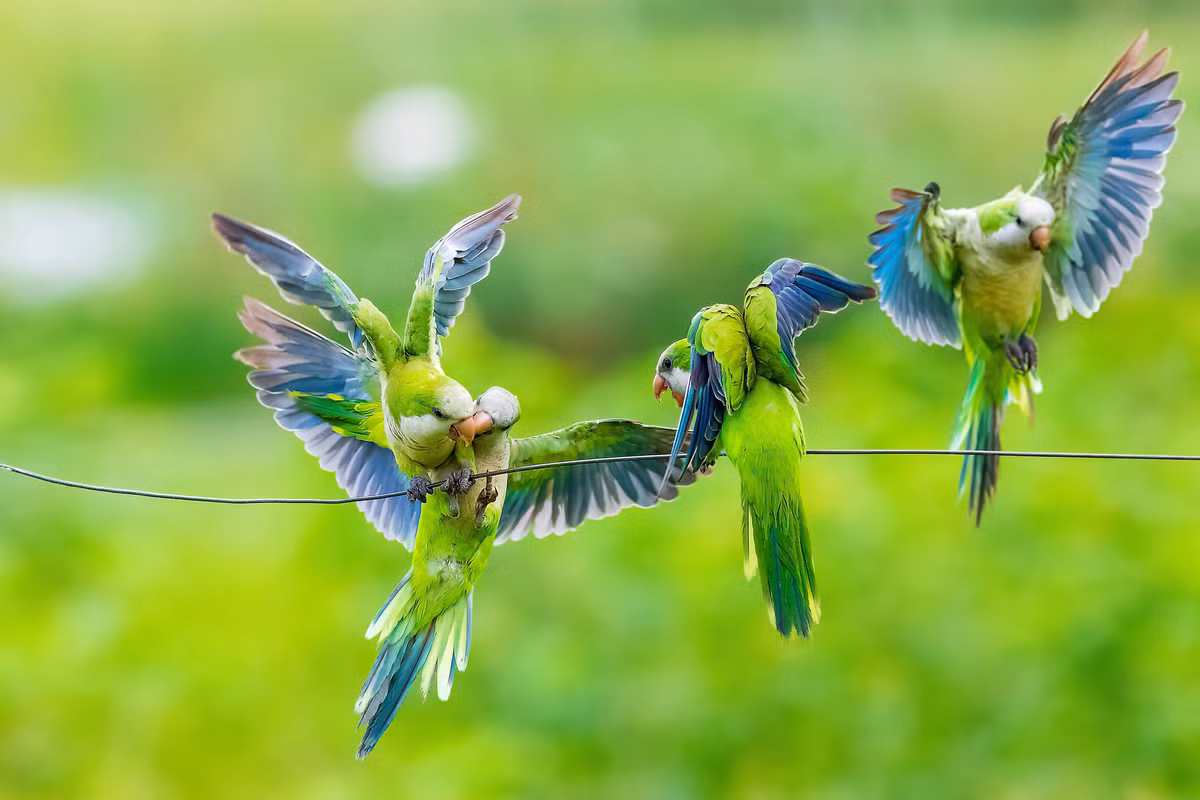 Người sinh ngày Âm lịch này am hiểu kiếm tiền, trung niên giàu có Nguoi sinh ngay Am lich nay am hieu kiem tien, trung nien giau co