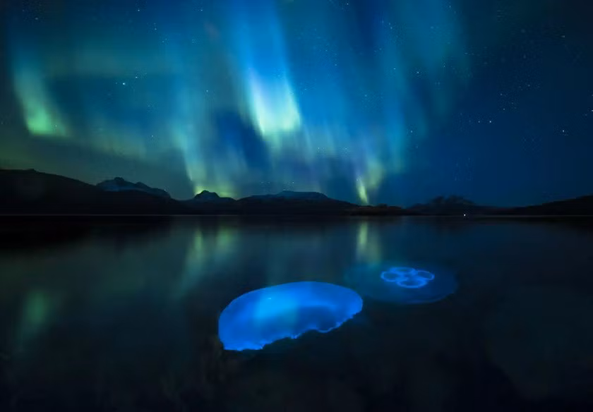 Tên tác phẩm: Thạch Aurora. Tác giả: Audun Rikardsen