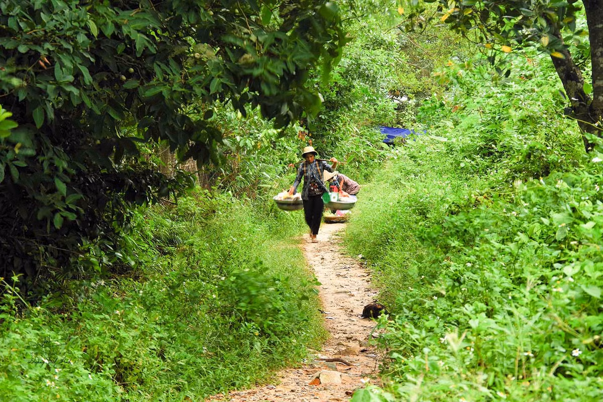 Ve dep binh di cua 