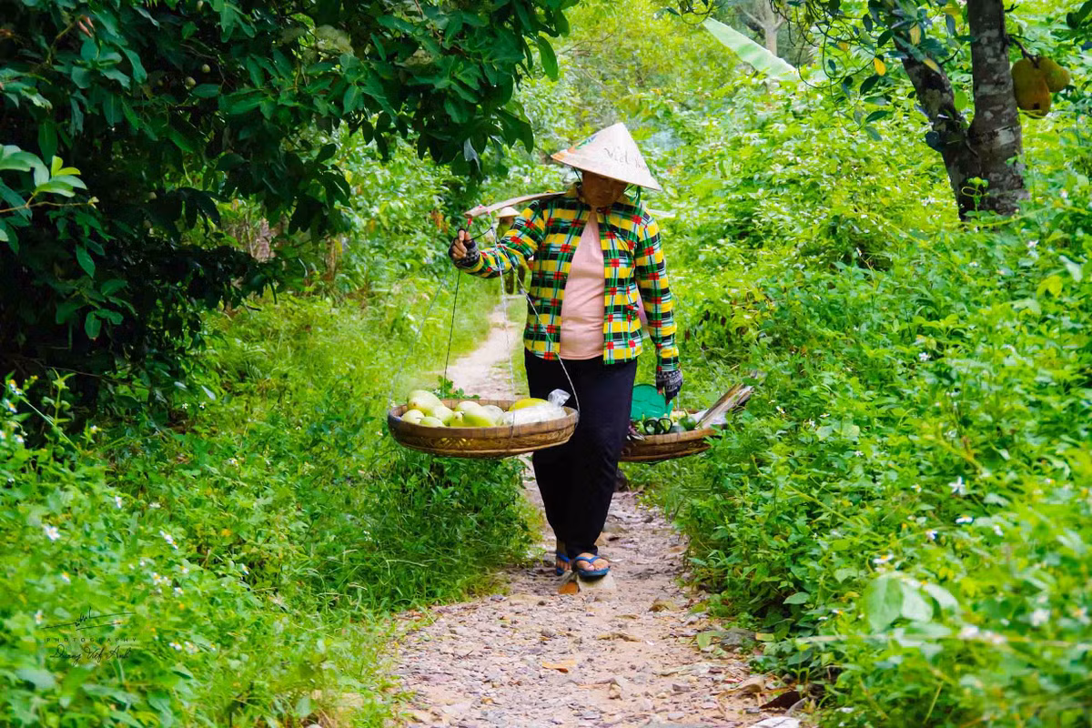 Ve dep binh di cua 