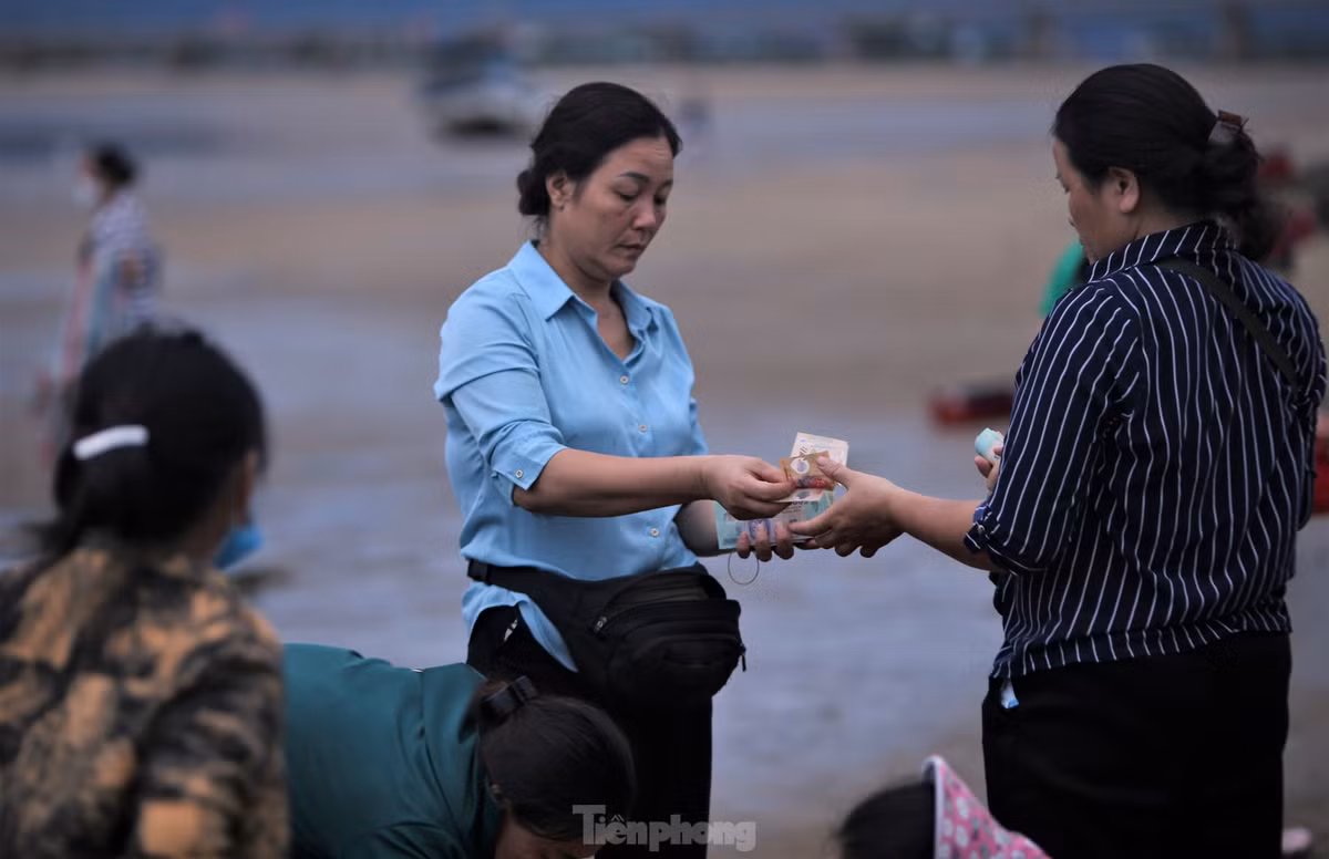 "Tàu thuyền cập bến, bán hải sản tại đây chủ yếu là loại công suất nhỏ, đi biển qua một đêm nên hải sản tươi, ngon. Mỗi chuyến nếu may mắn các thuyền kiếm được cả chục triệu đồng, ít cũng được 3-5 triệu đồng", ông Ngọc (62 tuổi, trú xã Cẩm Nhượng), chia sẻ.