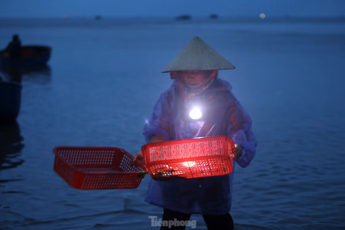 Mỗi người đến chợ đều mang theo đèn pin để đón tàu thuyền vào bờ, lựa chọn hải sản tươi ngon nhất.