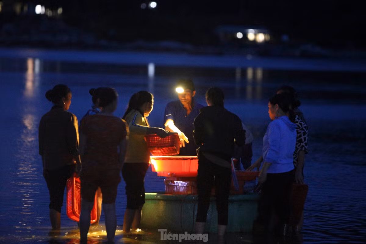 Dưới ánh đèn pin, những gánh mực, cá, tôm tươi rói được đưa từ thuyền vào, người dân nói cười tranh phần mua.