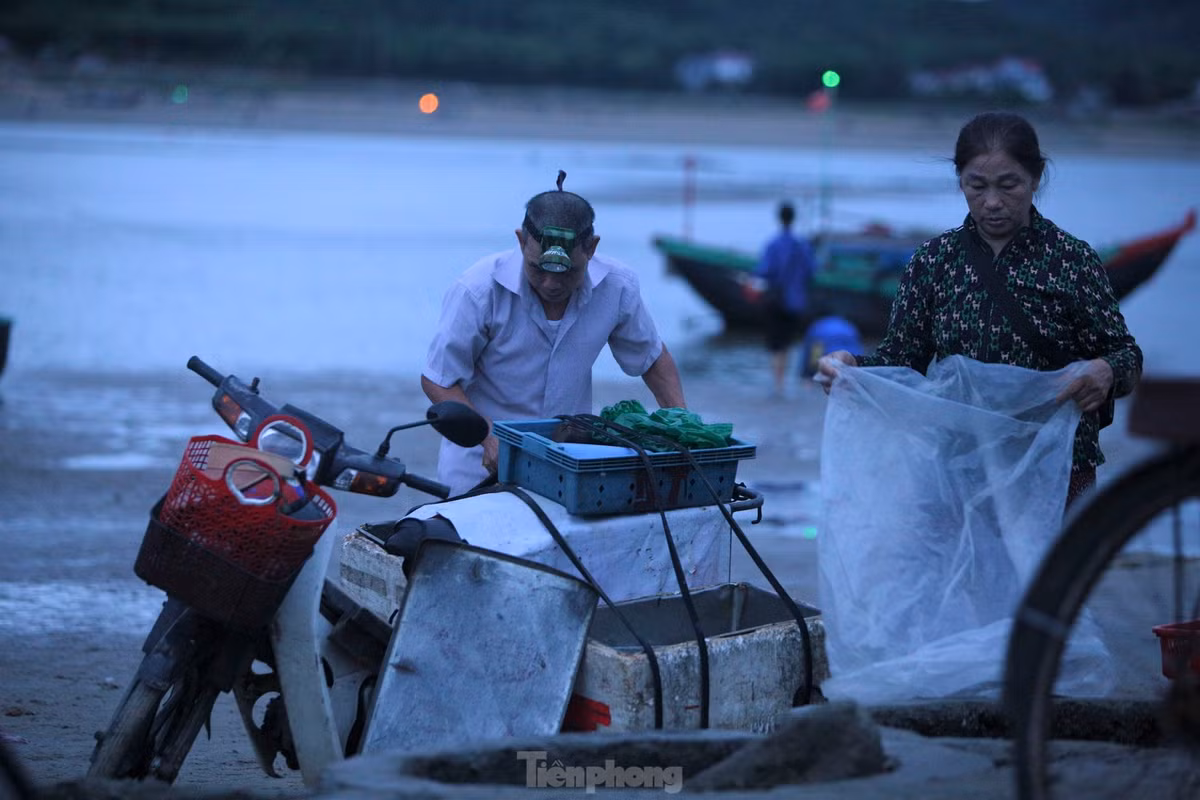 Lãnh đạo UBND xã Cẩm Nhượng cho biết, chợ hải sản Cồn Gò đã tồn tại hàng chục năm qua, không chỉ là nơi mua bán các loại hải sản tươi mà còn là địa chỉ với du khách khi đến biển Thiên Cầm du lịch muốn trải nghiệm.