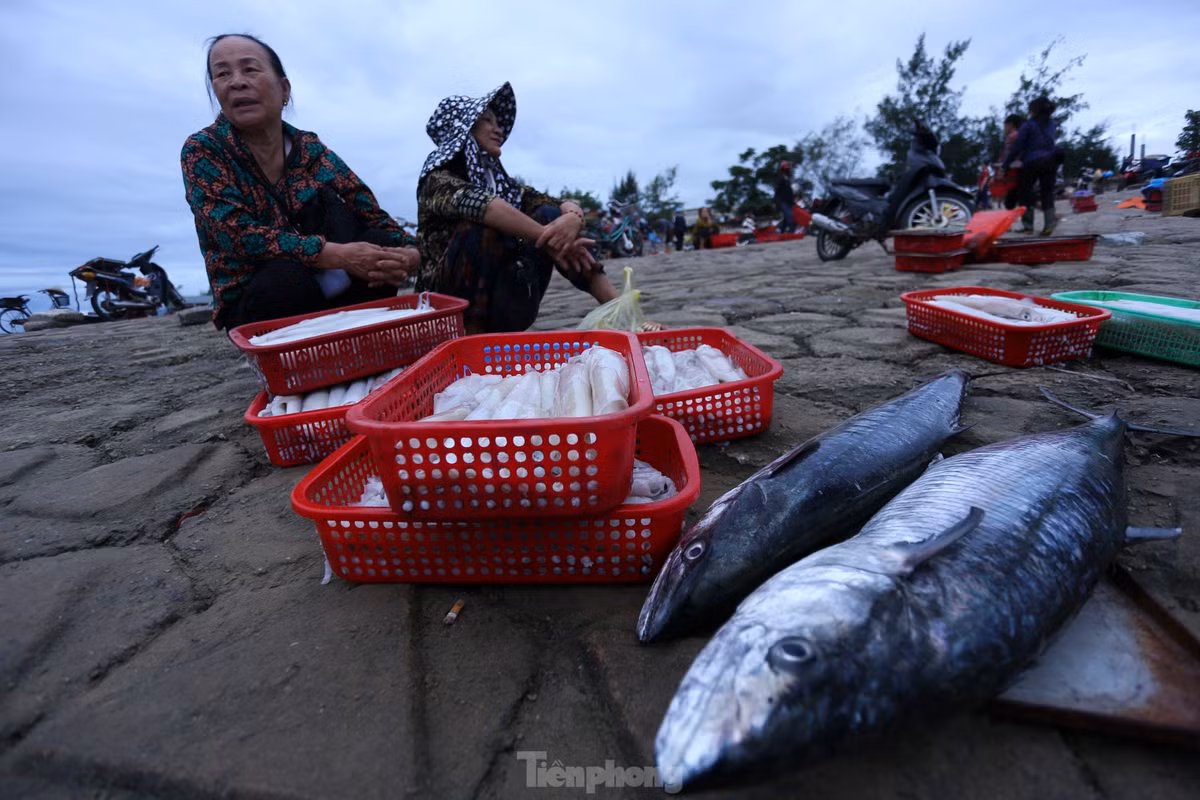 Khi bình minh ló rạng, chợ dần tan. Nhiều thương lái còn nán lại bày cá thu, mực vừa lấy từ thuyền trên bờ kè cho người có nhu cầu mua lại.