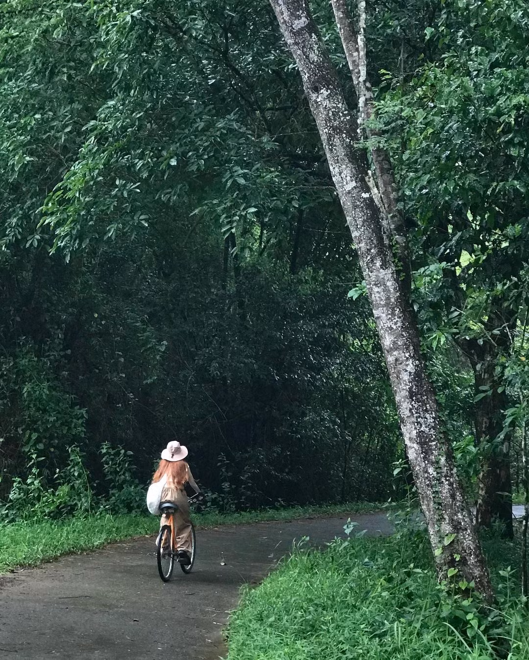 Tron khoi bui tai Vuon quoc gia Cat Tien-Hinh-3