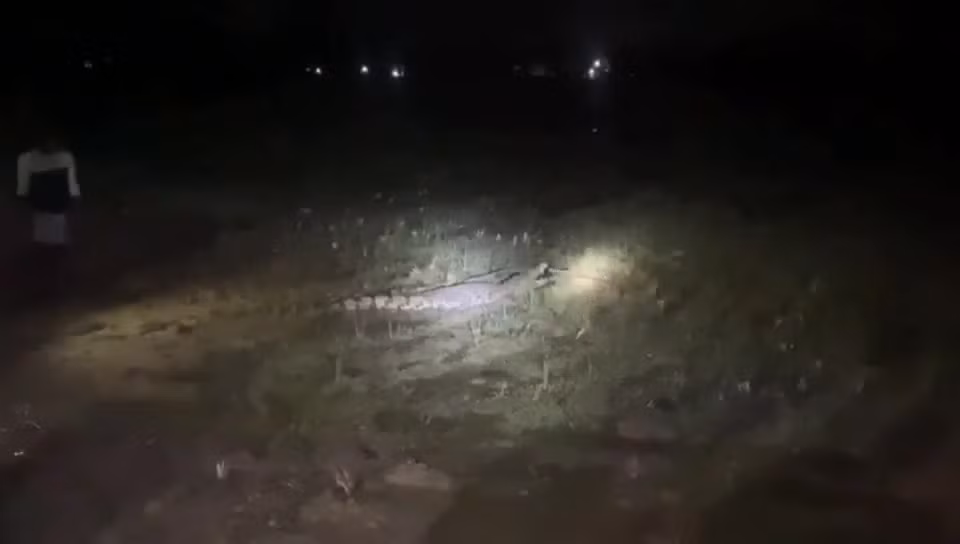 Video: Nong dan o An Do phat hien ca sau khi ra dong luc dem