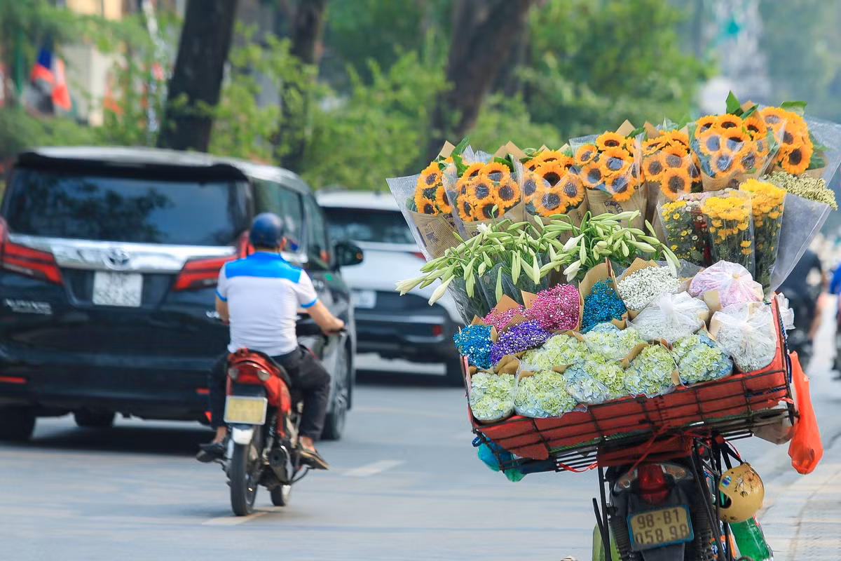 Những ngày tháng 4 này, tại Hà Nội, dọc các con phố như: Thụy Khuê, Phan Đình Phùng, Láng Hạ, Thanh Niên, Giảng Võ... vào thời điểm này, không khó để bắt gặp những chiếc xe đạp chở đầy hoa loa kèn đầu mùa, tràn đầy sức sống.