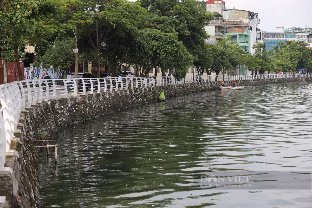 Sau 3 ngày, số lượng cá chết nổi trên mặt nước tại hồ Tây đã giảm hẳn.