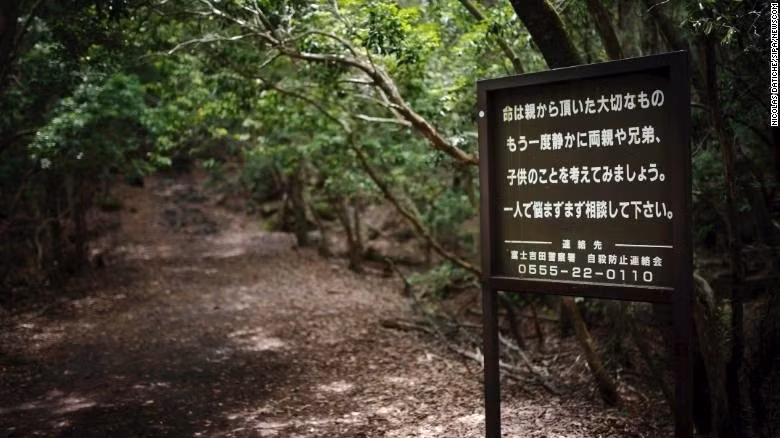 Rừng Aokigahara (Nhật Bản): Nơi đây nổi danh là địa điểm tự sát phổ biến thứ hai thế giới. Theo ước tính, khoảng 100 người đã tự tử ở đây mỗi năm. Nhiều người vẫn không biết tại sao mọi người lại chọn khu rừng tươi tốt này làm nơi an nghỉ cuối cùng. Một câu chuyện cho rằng khu rừng này là nơi sinh sống của những hồn ma Nhật Bản từ lâu, trong khi câu chuyện khác đề cập rằng những người già từng bị bỏ lại trong rừng cho đến chết. Bên trong Aokigahara chứa đầy vật dụng cá nhân của những người đã khuất, từ những đôi giày đến dây treo cổ. Ảnh: Nicolas Datiche/SIPA/Newscom.