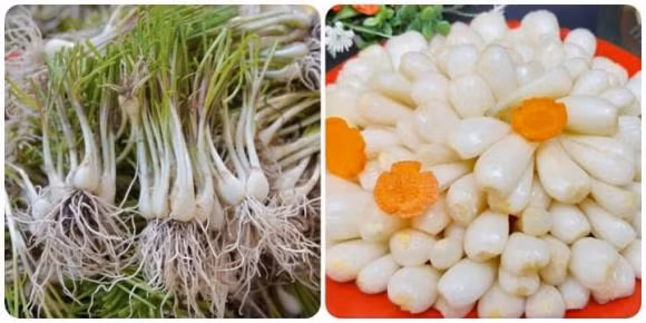 Cu hanh va cu kieu khac nhau the nao?-Hinh-2