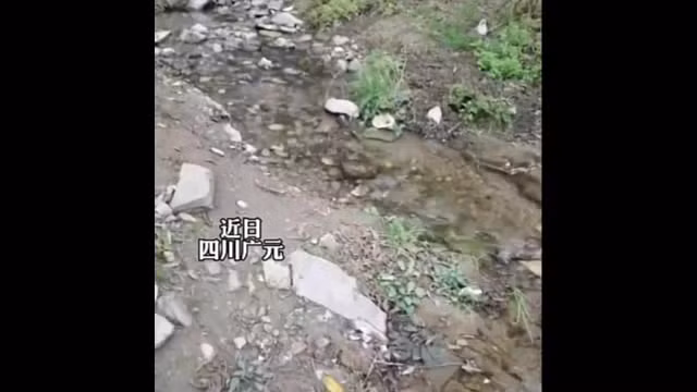 Dòng suối bí ẩn cứ nghe tiếng gọi là nước biến mất Dong suoi bi an cu nghe tieng goi la nuoc bien mat