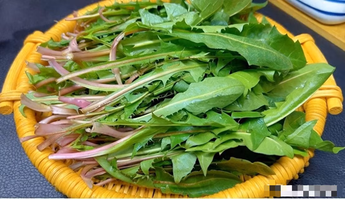 Loai rau dai moc day bo ruong lai la 