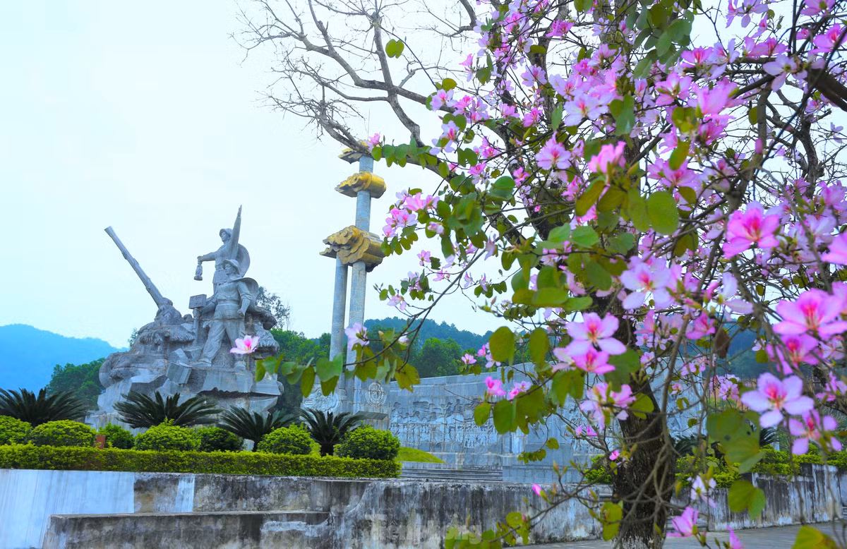Dep nao long hoa ban o chung tich huyen thoai Truong Bon-Hinh-3