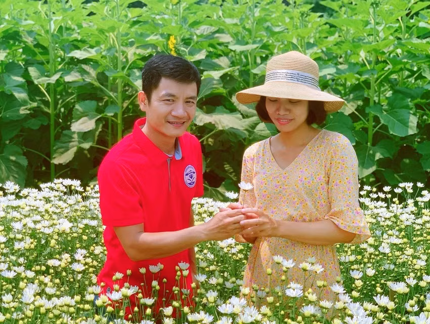 Vuon cuc hoa mi trai mua - diem den giai nhiet mua he tai xu Quang
