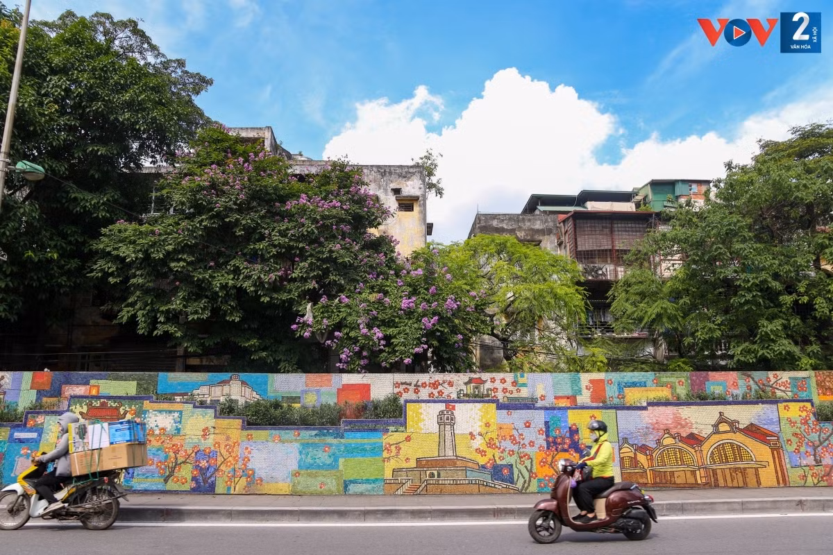 Dù không nổi bật, rực rỡ như hoa phượng vĩ, loài hoa mỏng manh đã hòa cùng hơi thở, nhịp sống người dân Thủ đô.