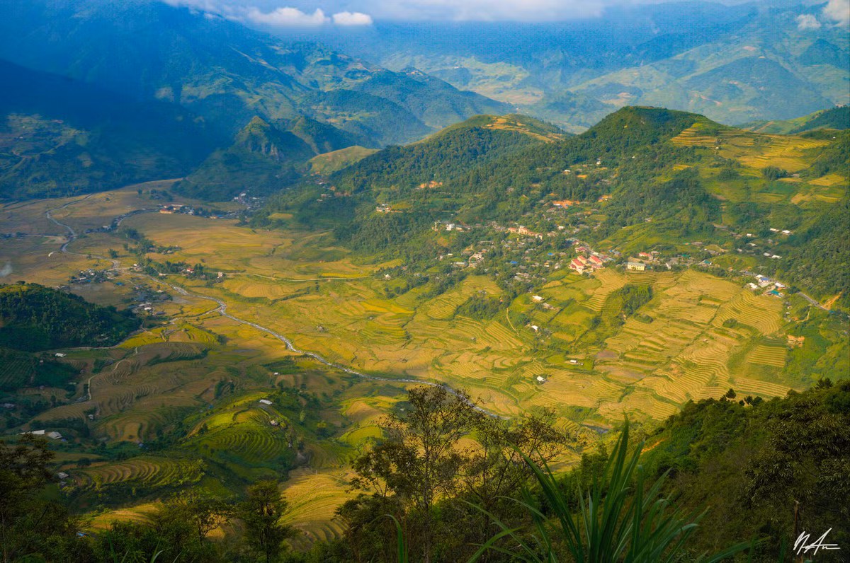 Du khach nuom nuop do ve Mu Cang Chai 