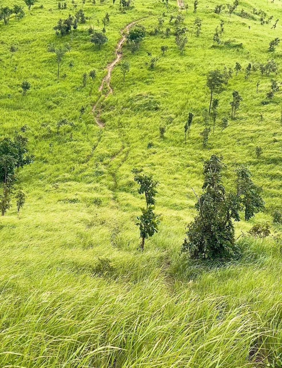Du lịch thảo nguyên Pal Sol bất cứ mùa nào trong năm, bạn cũng sẽ đều được tận hưởng một dáng vẻ quyến rũ riêng. Tuy nhiên, nếu như muốn tận hưởng khung cảnh thảo nguyên xanh mướt trải rộng ngút tầm mắt thì nên đi từ khoảng tháng 6 đến tháng 11, đây là thời điểm cỏ ở thảo nguyên xanh mướt. Nếu đi vào khoảng cuối tháng 12 đến tháng 3 thì cỏ ở thảo nguyên sẽ chuyển sang màu vàng cháy.