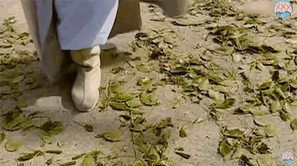Sai lam vo cong khien Truong Tam Phong khong xung la thien ha de nhat