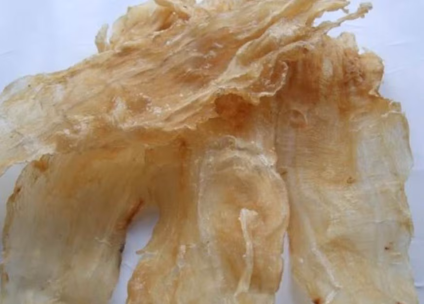 Một loài cá ở Việt Nam được cả thế giới săn đón - Hình 4 Mot loai ca o Viet Nam duoc ca the gioi san don-Hinh-4