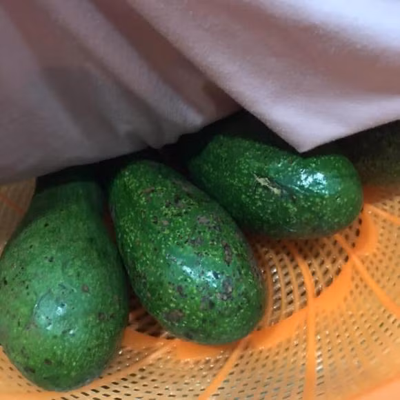 Kinh nghiem chon va tru bo, dung lau khong lo hong-Hinh-7