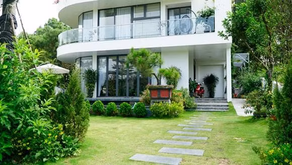 7 kieu cay canh cang xanh tot gia chu cang hao tai ton cua-Hinh-2