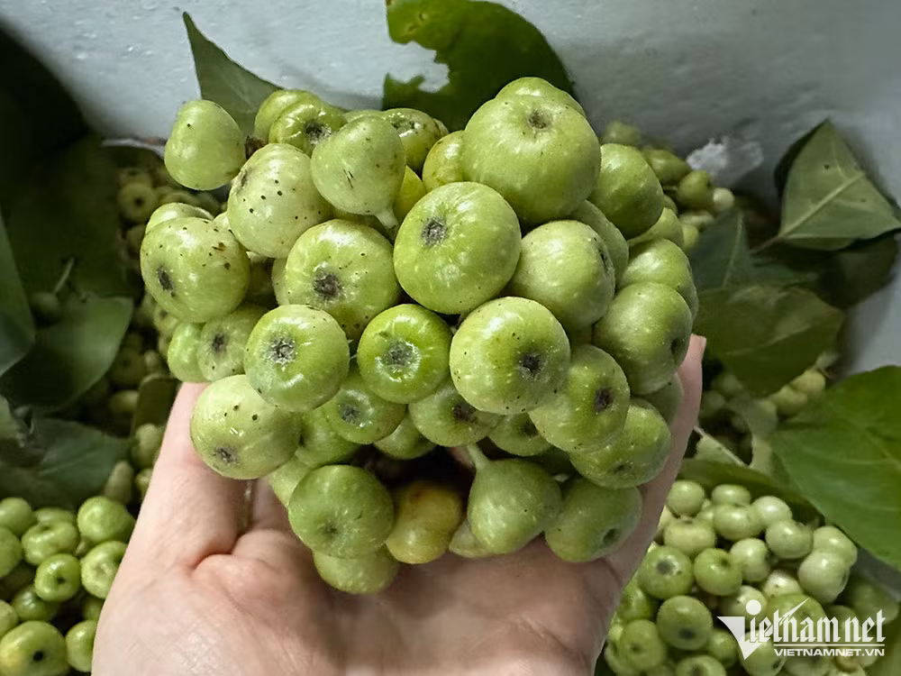 Loại quả thôn quê rẻ bèo, nay ở chợ Tết thành hàng đắt đỏ Loai qua thon que re beo, nay o cho Tet thanh hang dat do