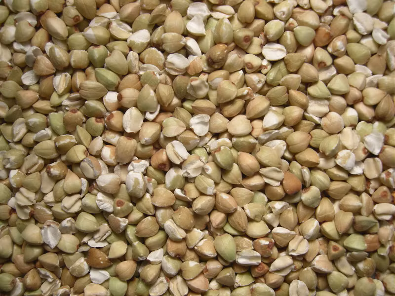 Hạt kê. Hàm lượng vitamin B1, B2 trong kê nhiều hơn gạo. Protein trong kê chứa nhiều tryptophan và methionine. Các quan sát lâm sàng đã chỉ ra: ăn kê có thể phòng ngừa lão hoá, và có tác dụng kiện não.