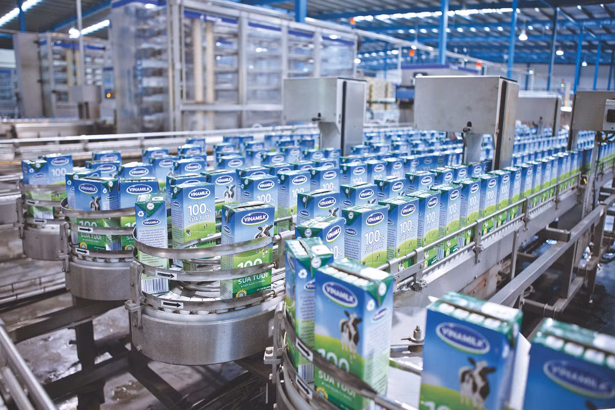 Xuất khẩu sữa Vinamilk tăng trưởng bình quân 62% trong 5 năm 2008-2012.