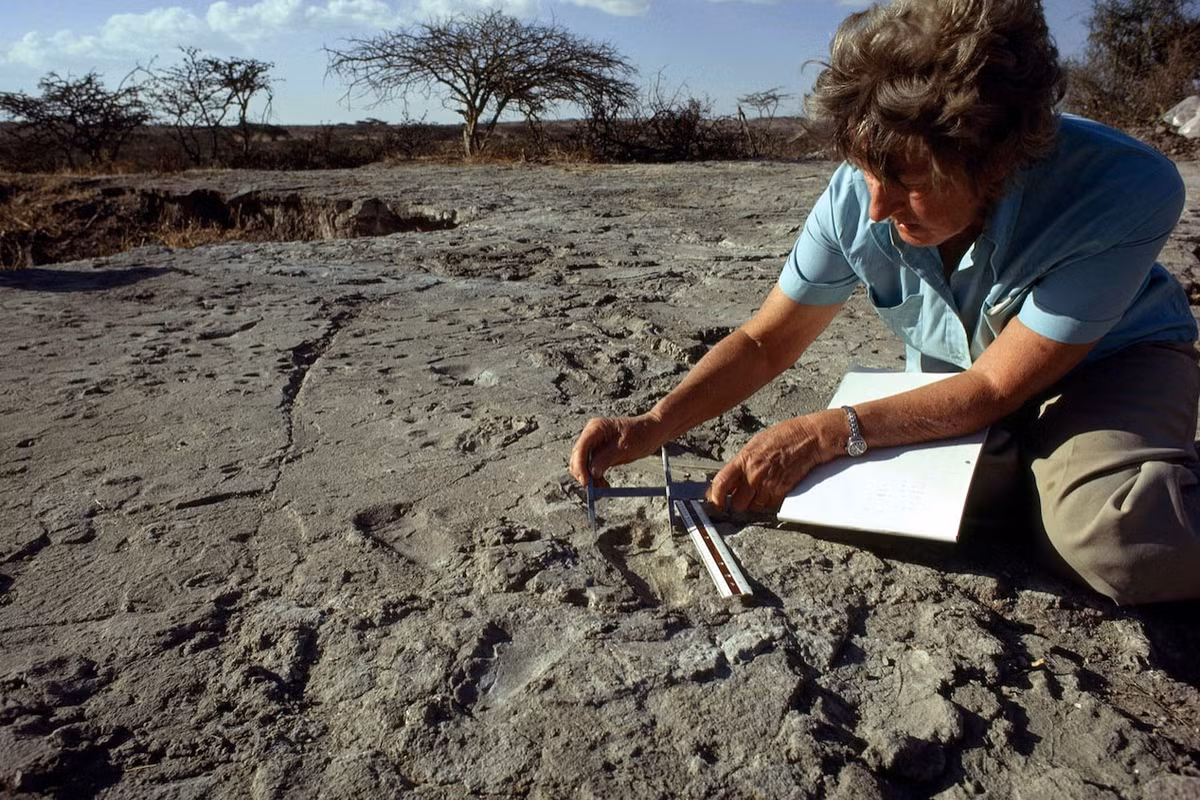 Từ năm 1976, vùng đất Laetoli ở Tanzania đã được cả thế giới biết đến nhờ việc phát hiện ra hàng loạt dấu chân của người tiền sử được lưu lại trên tro núi lửa. Kết quả xác định niên đại ở nơi đây cho thấy, loài người đã bắt đầu đứng thẳng từ ít nhất 3,6 triệu năm trước. Ảnh: WiredPen.