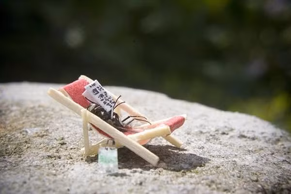 Đi tắm nắng.