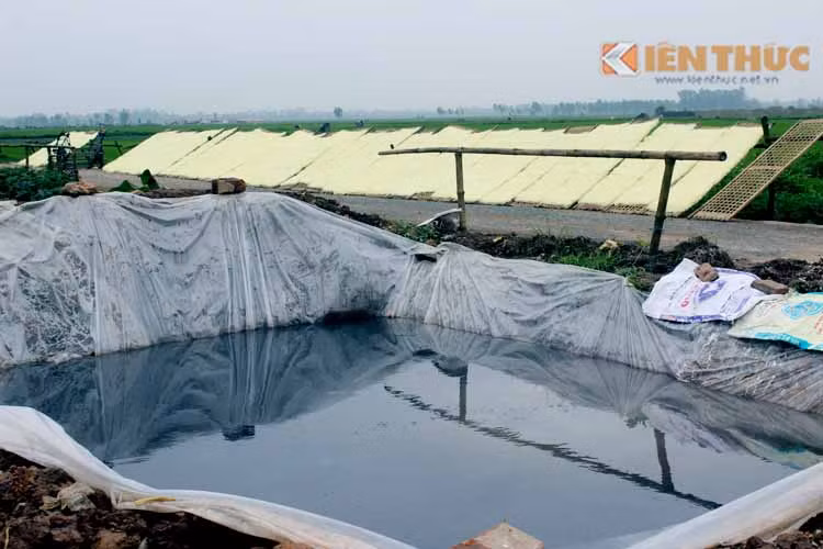 ... sát bên những hố nước phân đen ngòm...