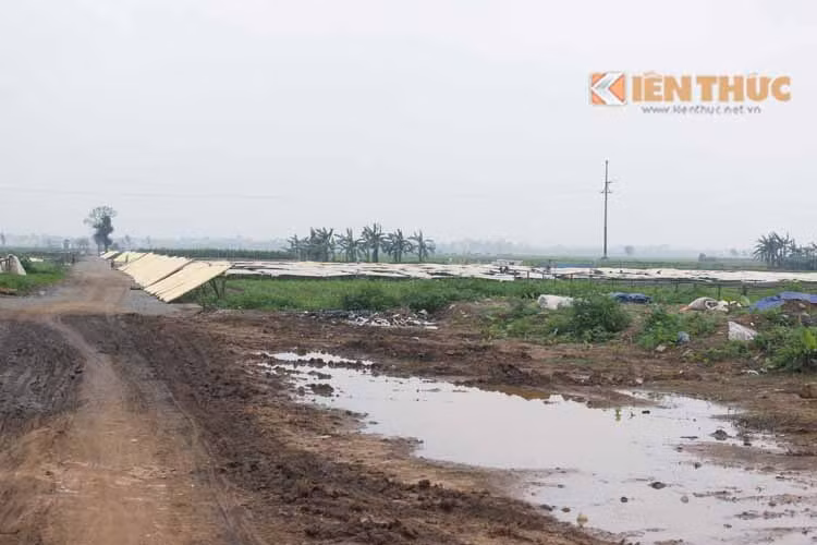Dot nhap lang lam mien ban o Hoai Duc Ha Noi