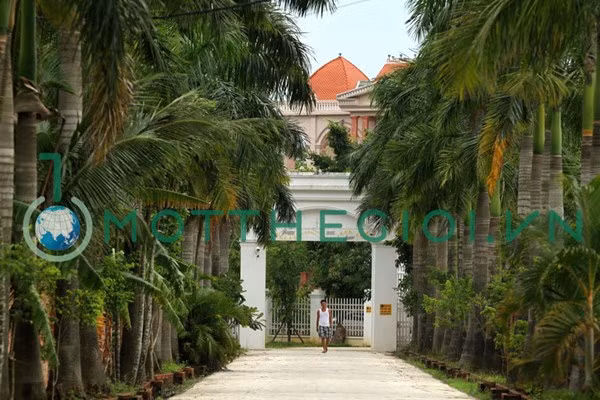Lối vào khu biệt thự với hàng cau thẳng tắp.