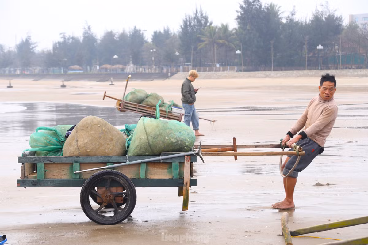 “Đánh bắt gần bờ nên đi nhanh, về nhanh. 3 giờ ra khơi thì hơn 6 giờ sáng đã cập bờ. Hải sản còn tươi sống, không qua ướp đá, không đông lạnh nên người dân và du khách chuộng lắm. Ngày nào nắng ráo, gió yên biển lặng thu nhập khoảng 1 triệu đồng một chuyến”, ông Sáng chia sẻ.