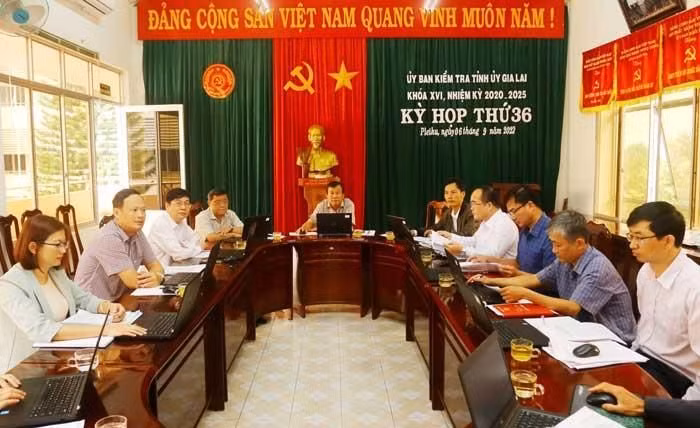 Gia Lai xem xet ky luat nhieu dang vien, to chuc Dang