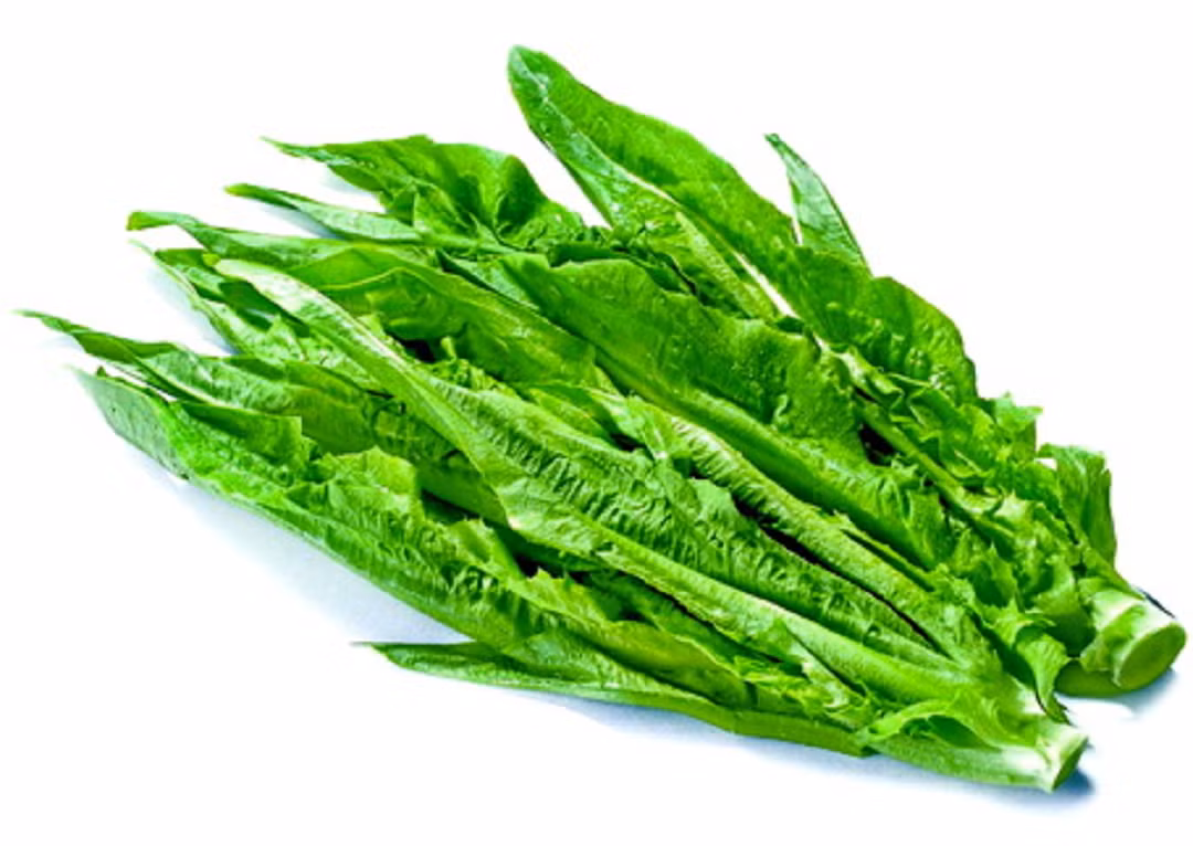 6 lợi ích không ngờ của rau diếp thơm 6 loi ich khong ngo cua rau diep thom