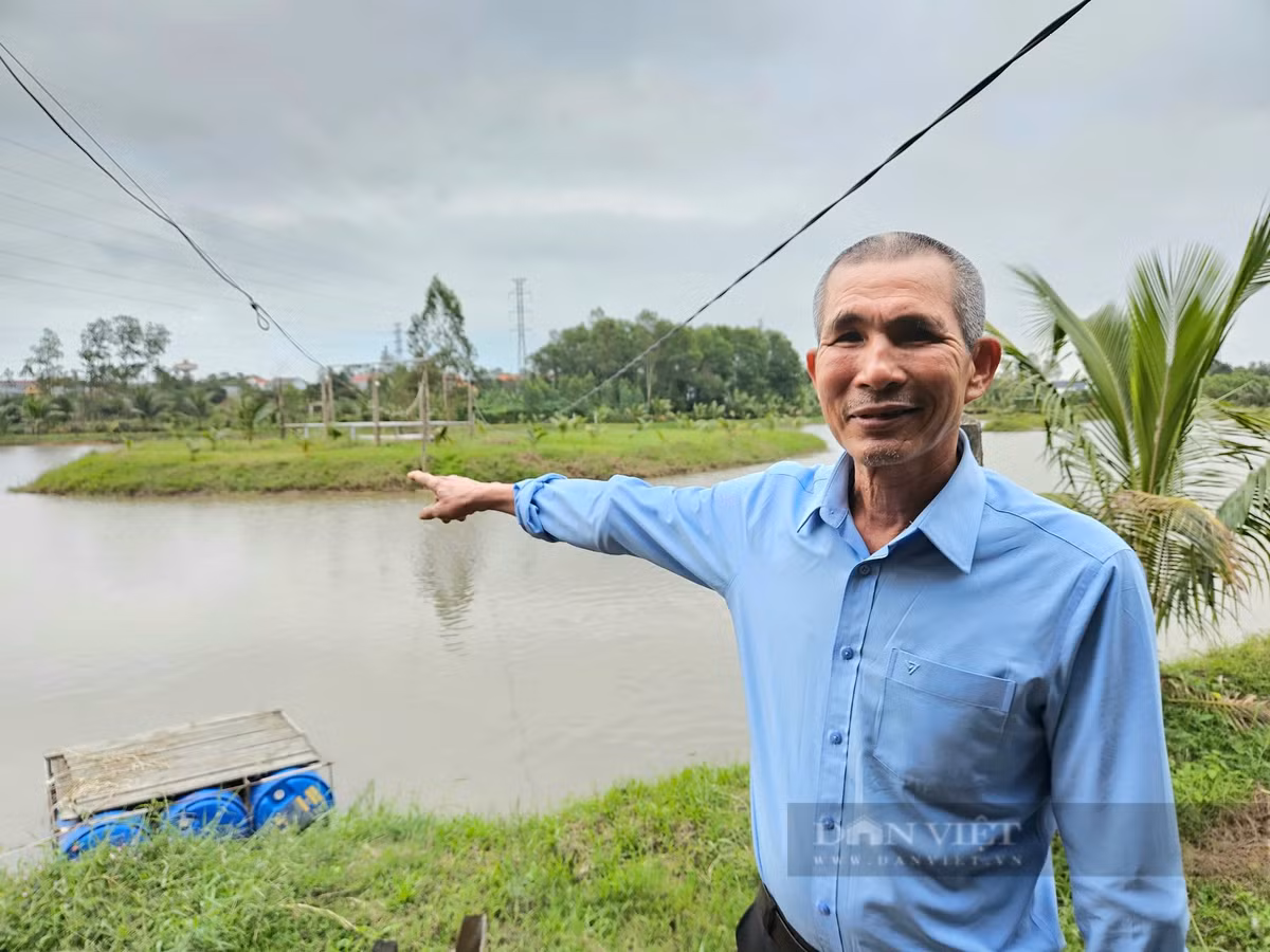 Lam mo hinh lua- ca, nuoi bo, trong dua, cuu binh o Quang Binh thu lai 500 trieu