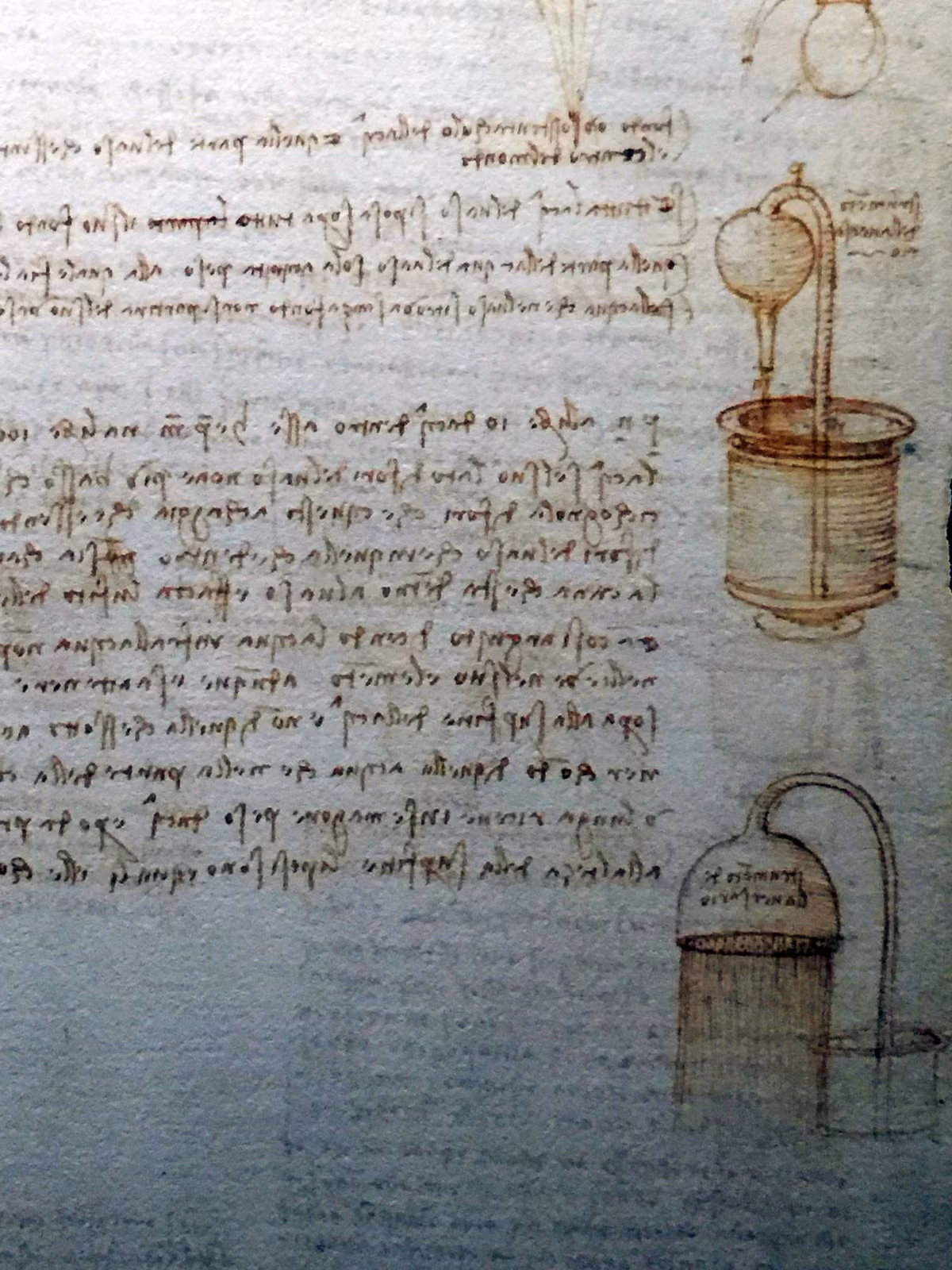 Họa sĩ Giuseppi Ghezzi đã phát hiện ra cuốn sổ vào năm 1690 trong một rương gồm các cuộn giấy thuộc về Guglielmo della Porto, một nhà điêu khắc người Milan thế kỷ 16, người đã nghiên cứu các tác phẩm của Leonardo.
