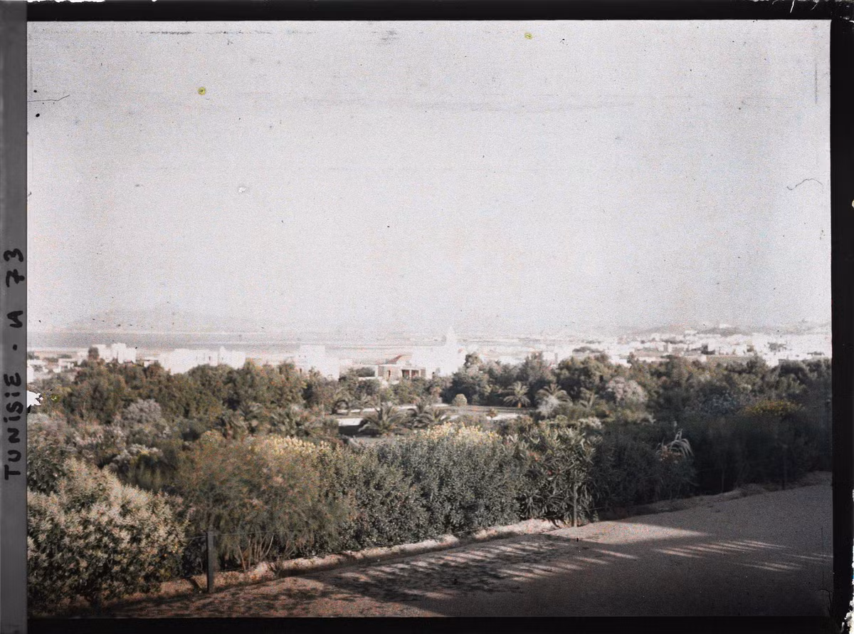 Tunis nhìn từ Bardo, thành phố nằm liền kề ở phía Tây.