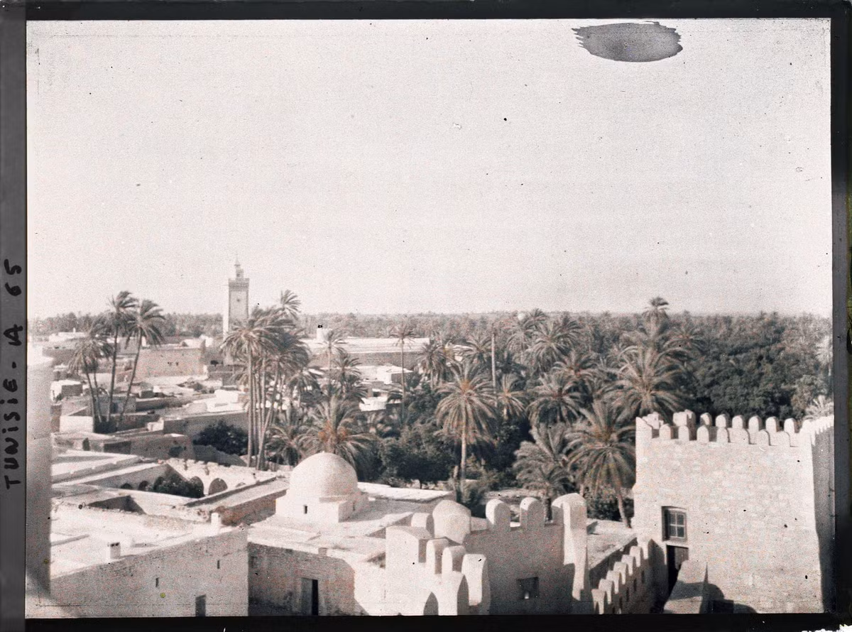 Quang cảnh Gafsa, thành phố tọa lạc tại một ốc đảo cách Tunis khoảng 300 km về phía Tây Nam. Hình chụp từ tòa thành cổ ở nơi đây.