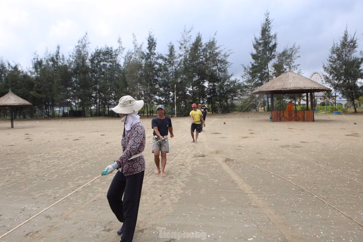 Khác với việc cào ngao, người dân kéo cá sẽ mang dây thừng thắt vào lưng để tạo lực, sau đó cùng đi lùi về phía sau kéo lưới vào bờ. Mỗi người sẽ đứng cách nhau khoảng 2-3m, đi theo từng nhịp bước để hợp sức.