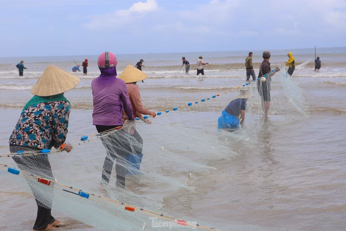 Khi lưới cá gần vào bờ, người dân sẽ cẩn thận di chuyển từng bước để tránh cá lọt ra ngoài.