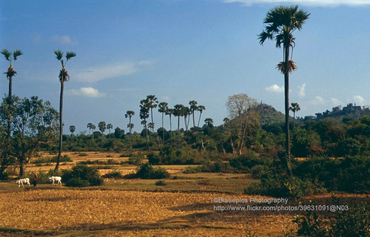 Các đền tháp cổ của Oudong nằm trên ngọn đồi phía xa. Nằm cách thủ đô Phnom Penh 40 km về phía Tây Bắc, nơi đây là kinh đô của Campuchia từ thế kỷ 17 đến thế kỷ 19.