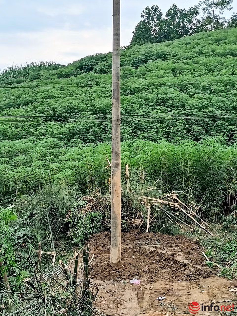 Tuyên Quang: Nổ mìn phá đá như động đất, dân hốt hoảng - Hình 3 Tuyen Quang: No min pha da nhu dong dat, dan hot hoang-Hinh-3