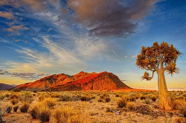  Sa mạc Kalahari ở Nam Phi là một trong những sa mạc điển hình nhất. Nó được đặt tên theo từ "kgala" trong ngôn ngữ Tswana có nghĩa là "khát khô". Lượng mưa trung bình của vùng sa mạc này là khoảng 127-254mm mỗi năm, nhưng con số này không thấm vào đâu so với cái khô, nóng của sa mạc.