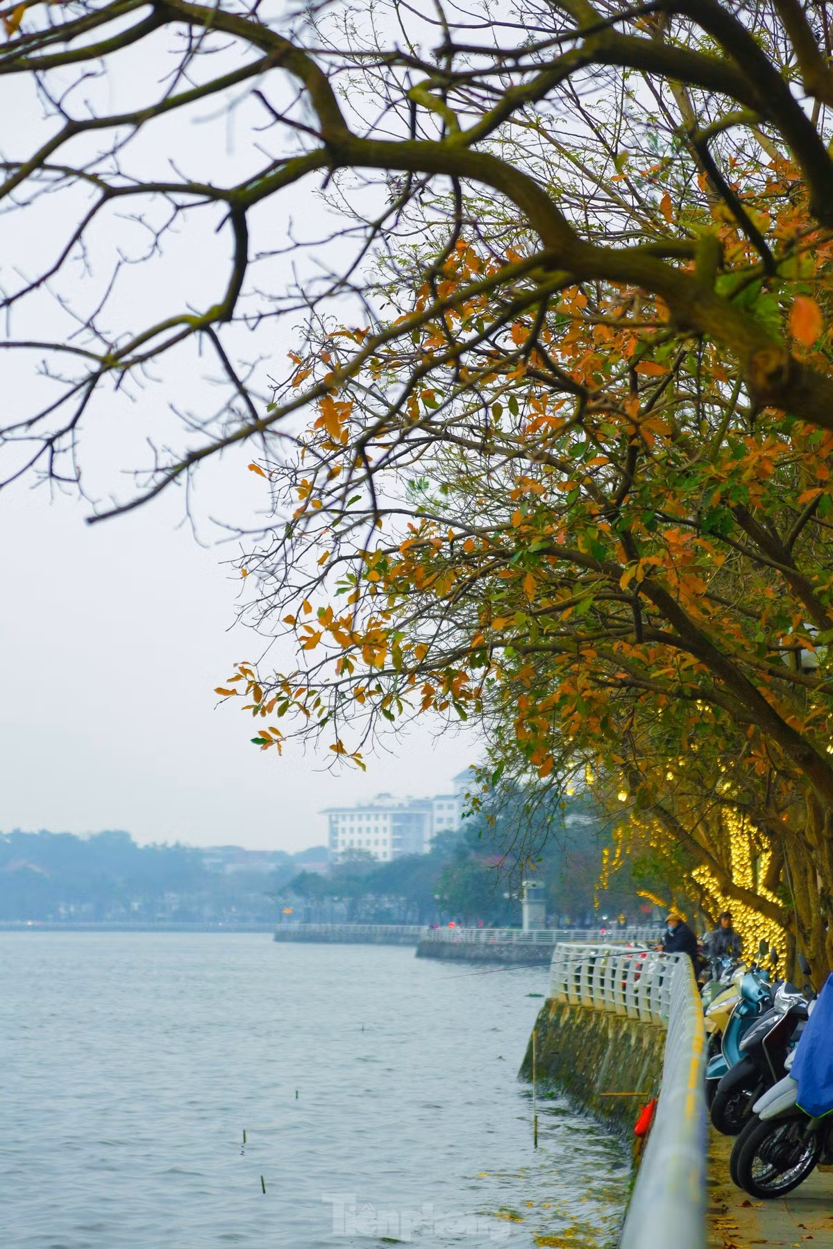 br/> Tháng 3, Hà Nội bước vào mùa cây thay lá. Trên khắp nẻo đường, góc phố, cảnh vật bỗng trở nên lung linh đầy màu sắc và thơ mộng.