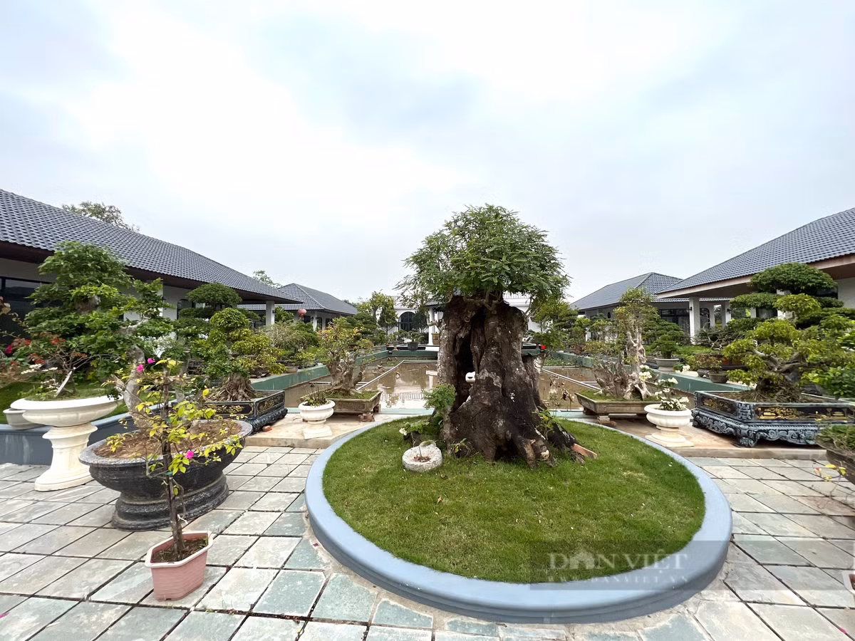 Chu nhan ngoi nha bat ngo noi tieng tai Thanh Hoa noi gi?-Hinh-6